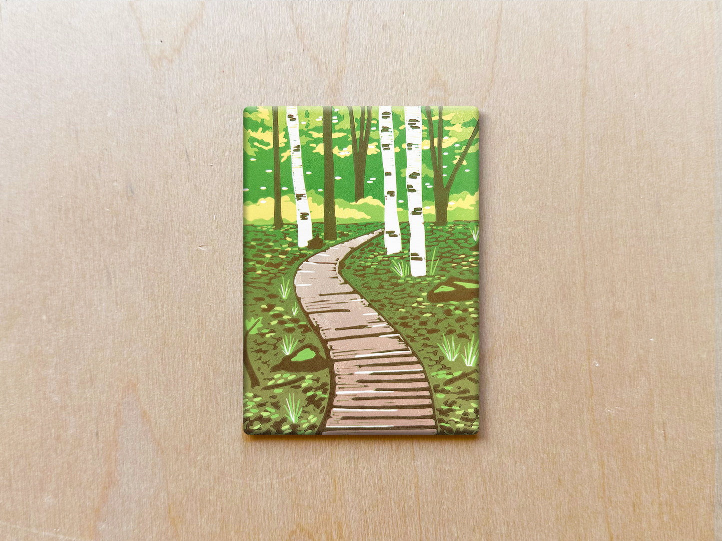 A Path Forward Magnet