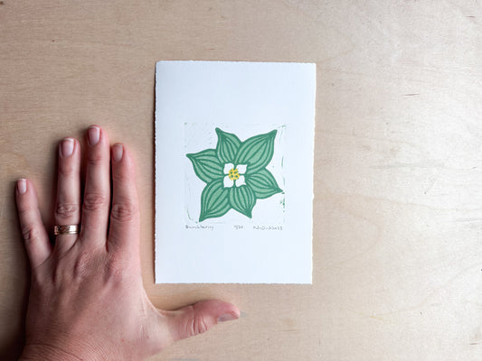 Bunchberry Woodcut Print