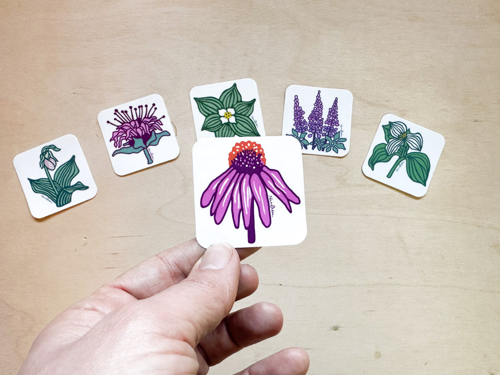 Coneflower Sticker