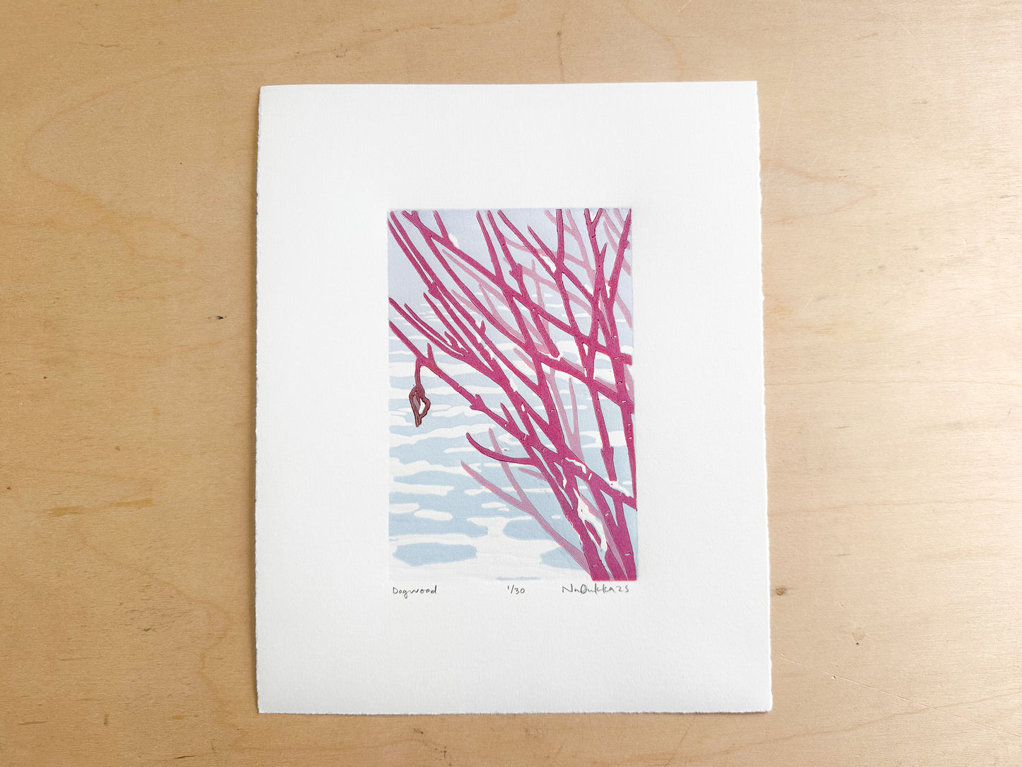 Dogwood Woodcut Print
