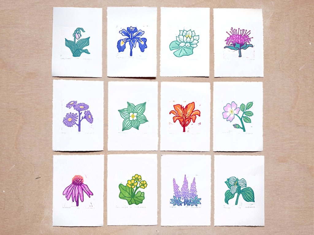 Full Series of Northern Wildflower Woodcut Prints