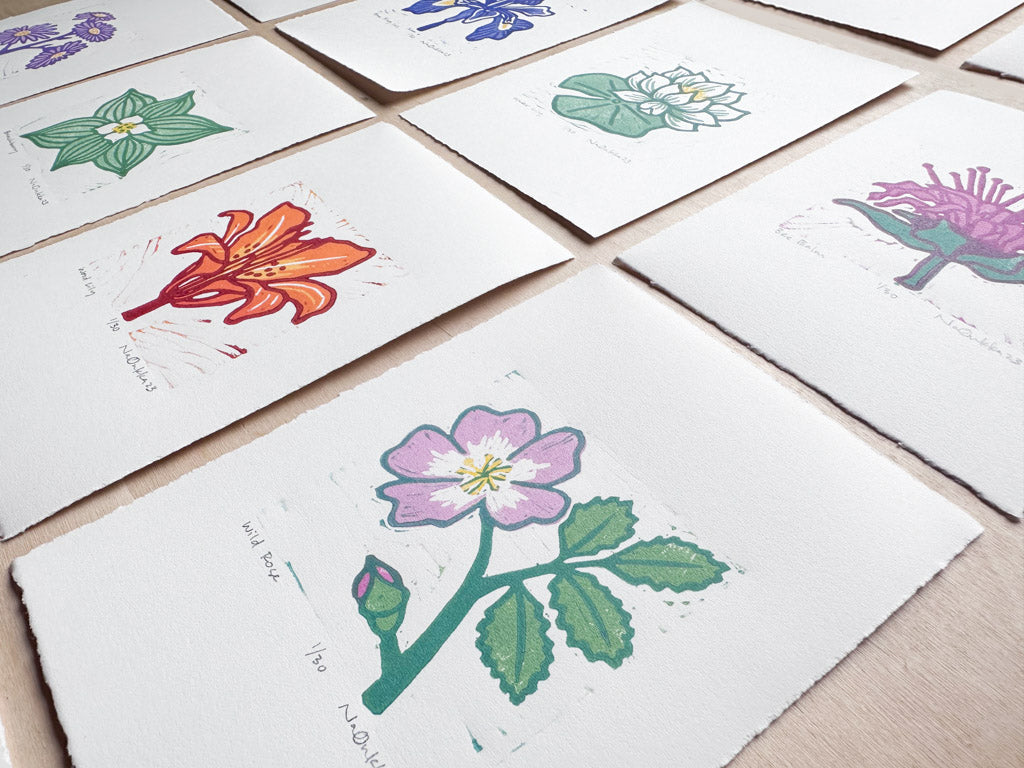 Full Series of Northern Wildflower Woodcut Prints