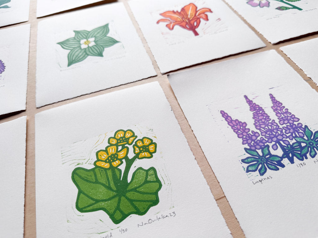 Full Series of Northern Wildflower Woodcut Prints