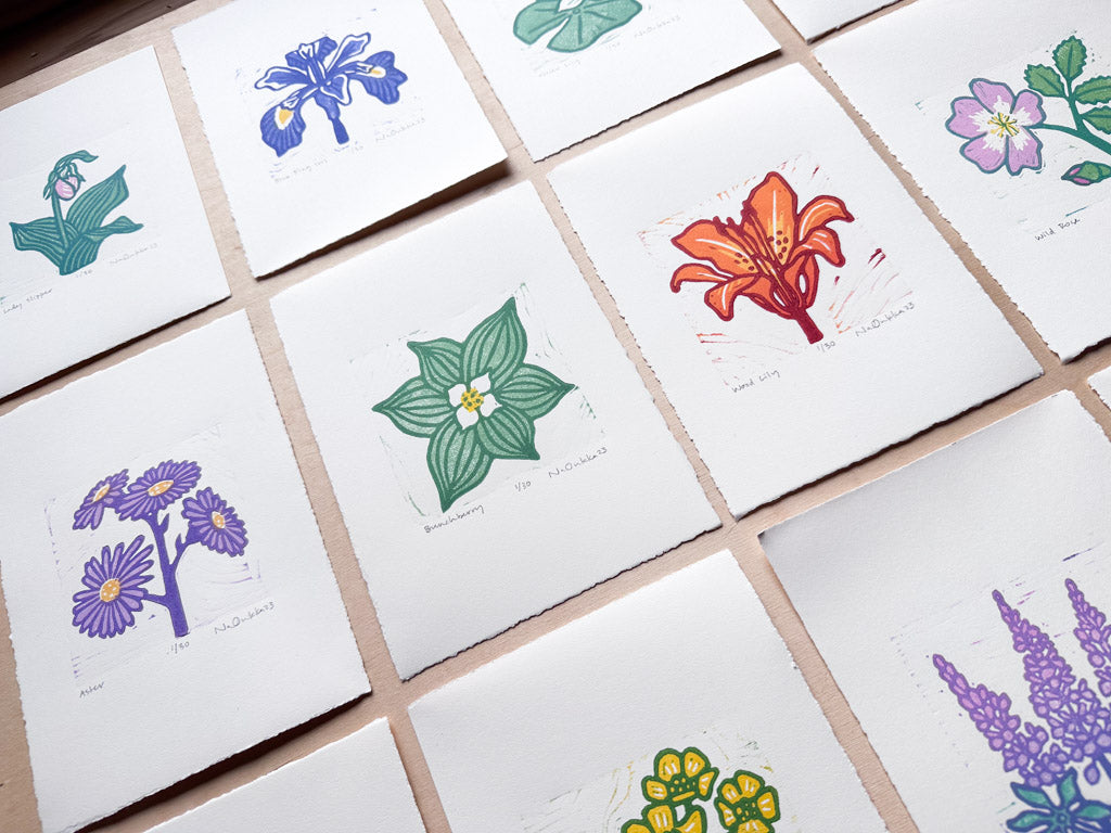 Full Series of Northern Wildflower Woodcut Prints