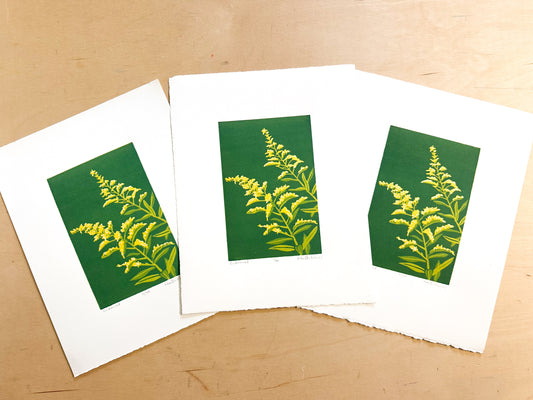 Goldenrod Woodcut Print