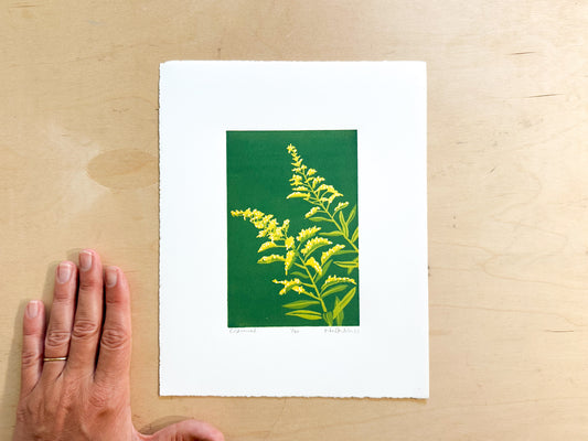 Goldenrod Woodcut Print
