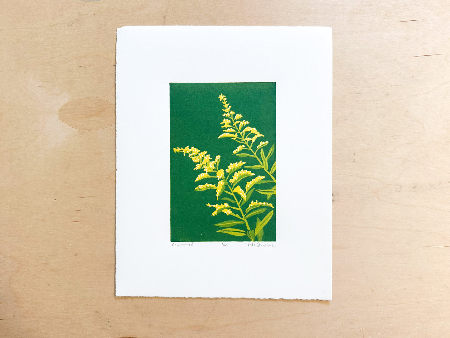 Goldenrod Woodcut Print