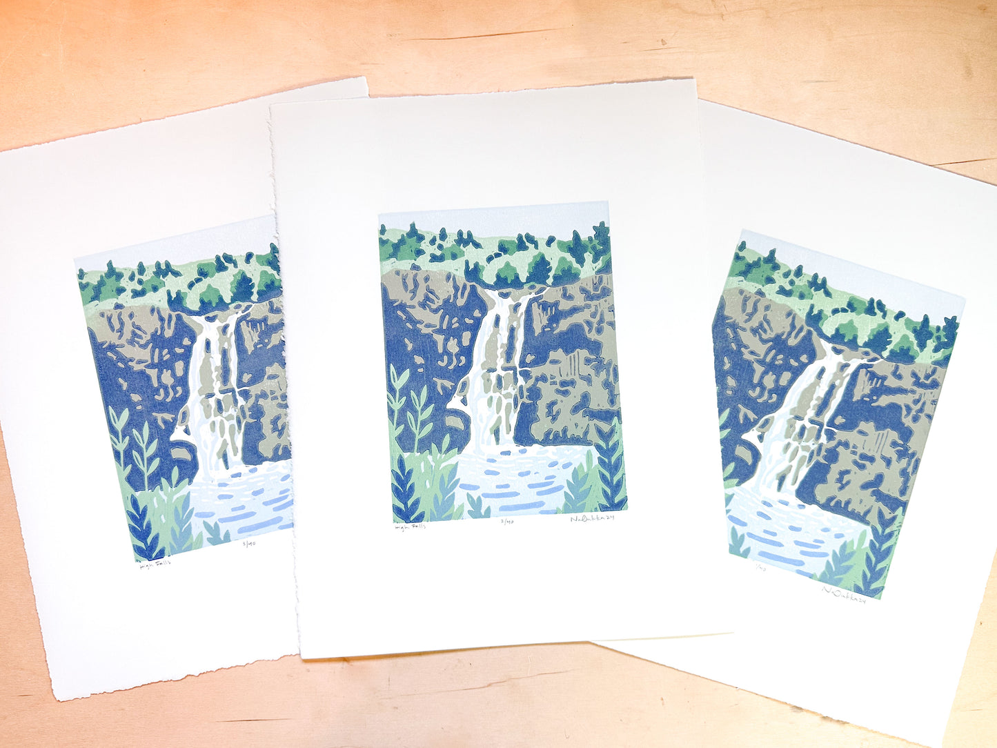 High Falls Woodcut Print