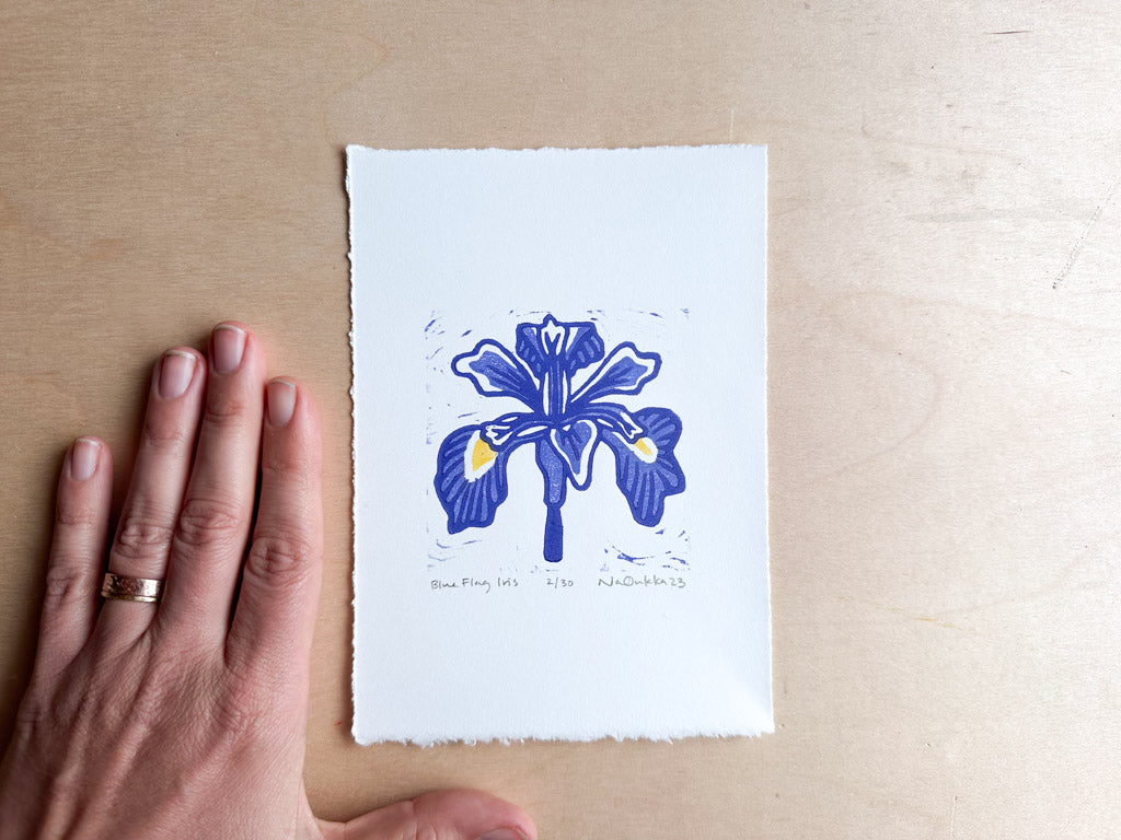 Blue Flag Iris Woodcut Print
