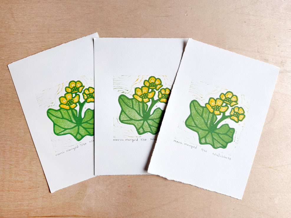 Marsh Marigold Woodcut Print