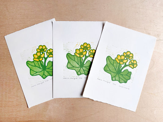 Marsh Marigold Woodcut Print