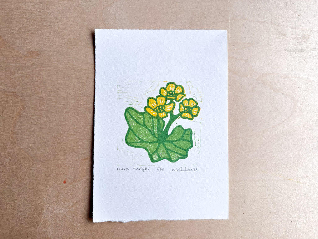 Marsh Marigold Woodcut Print