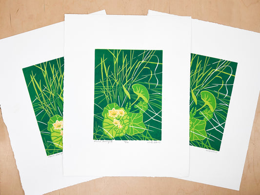 Marsh Marigolds Woodcut Print