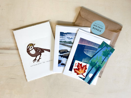 Mini Print Mystery Bundle ($50 Value!)