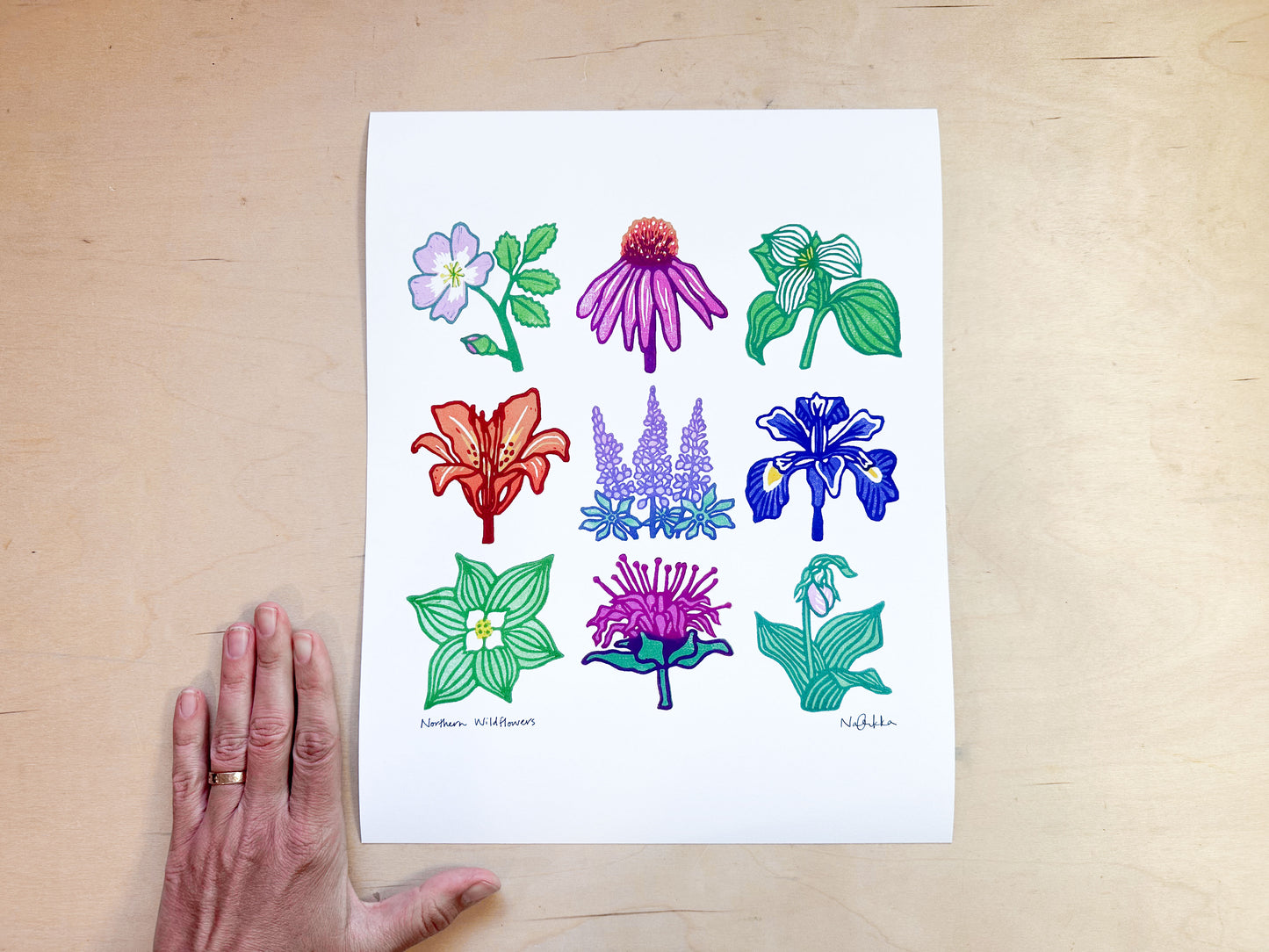 Northern Wildflowers Giclée Print