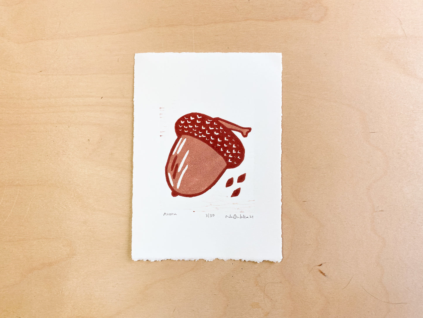 Acorn Woodcut Print