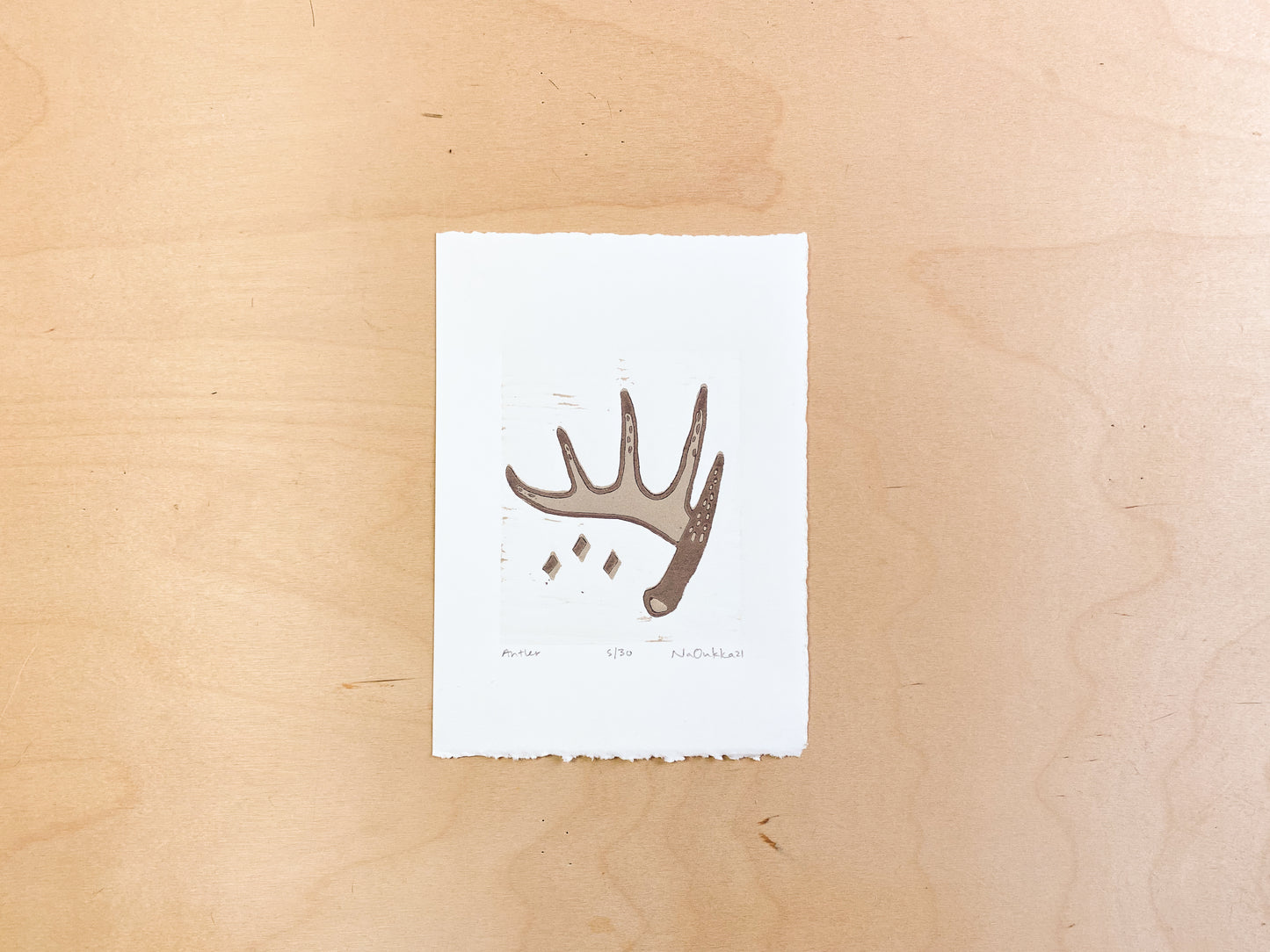 Antler Woodcut Print