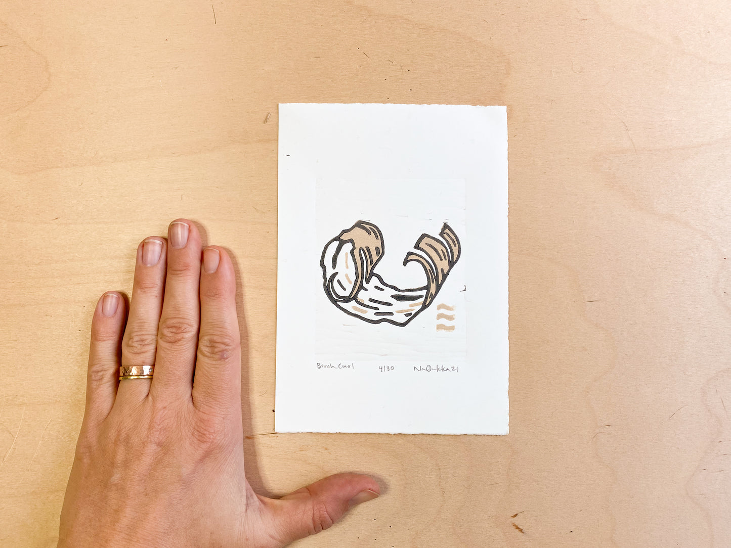 Birch Curl Woodcut Print