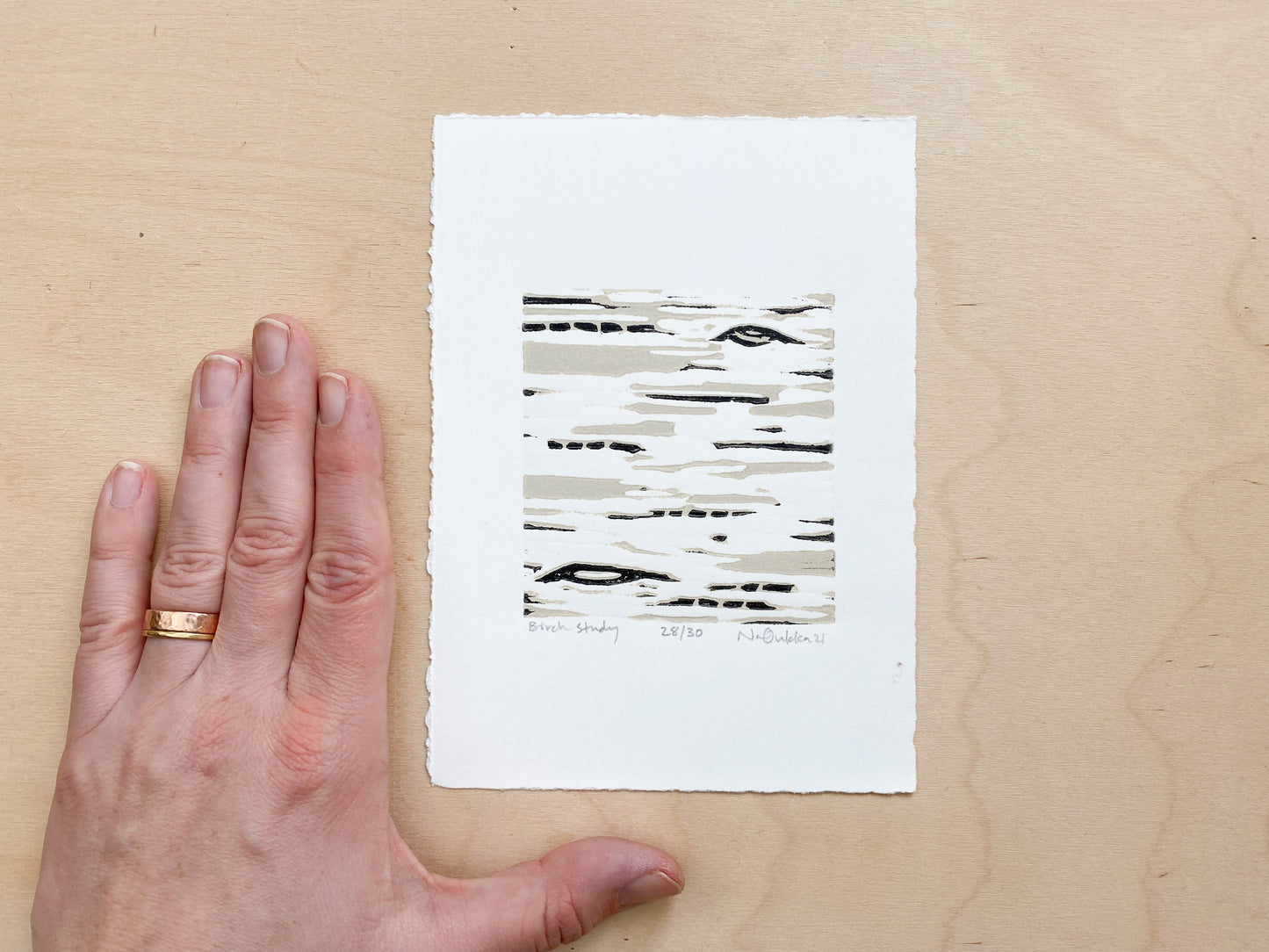 Birch Study Woodcut Print