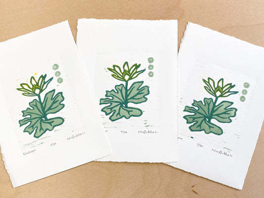 Bloodroot Woodcut Print