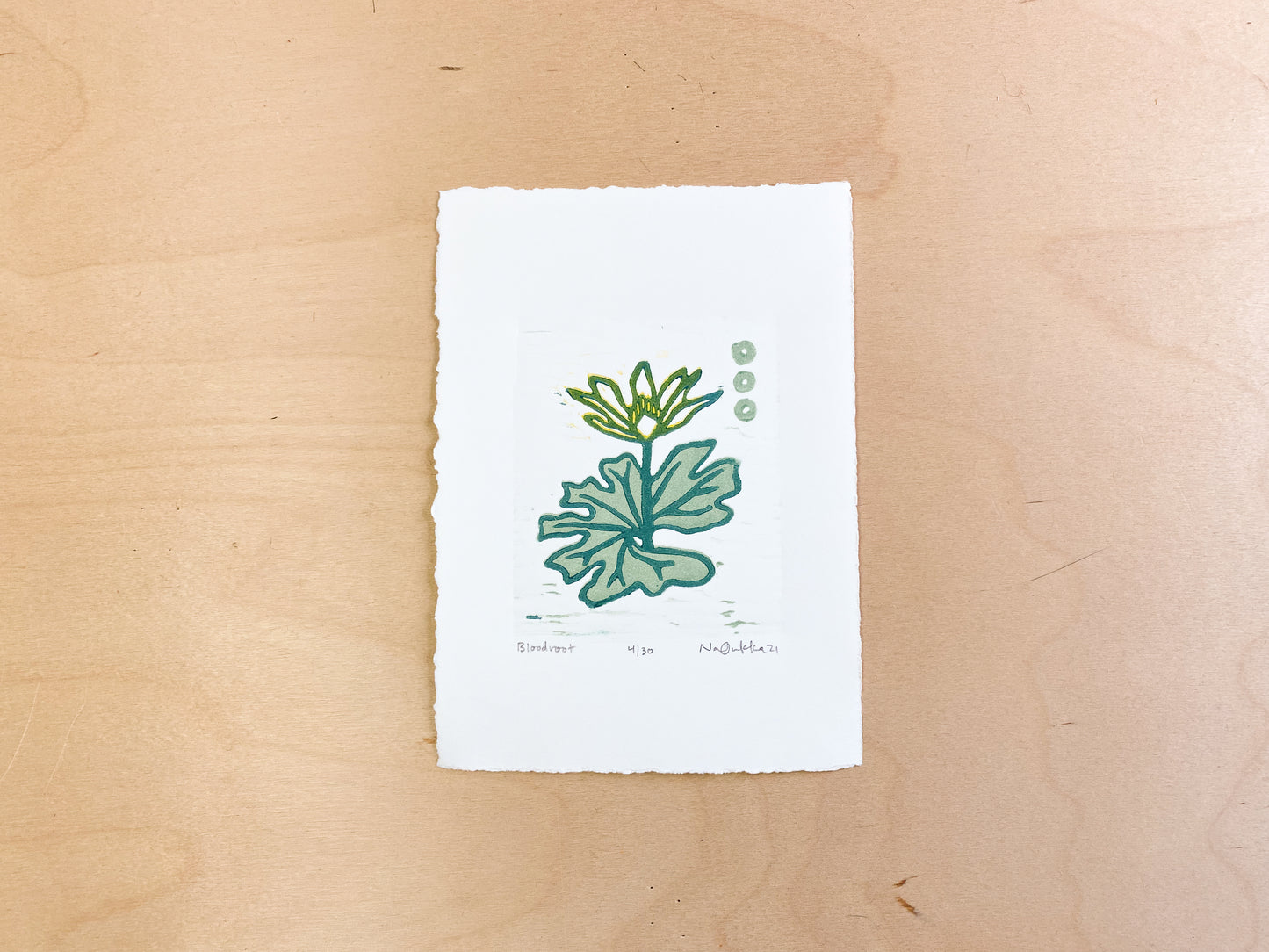 Bloodroot Woodcut Print