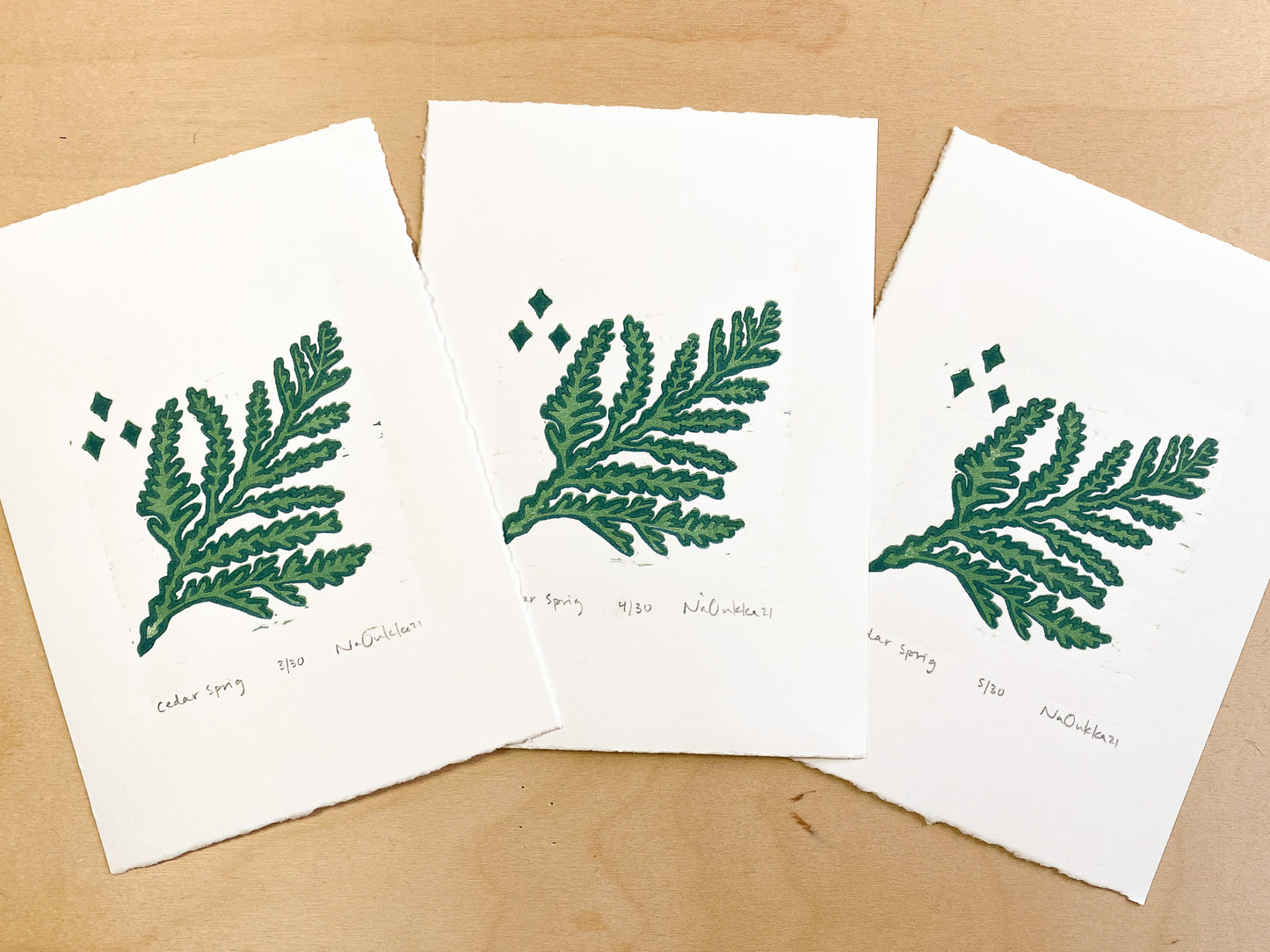 Cedar Sprig Woodcut Print