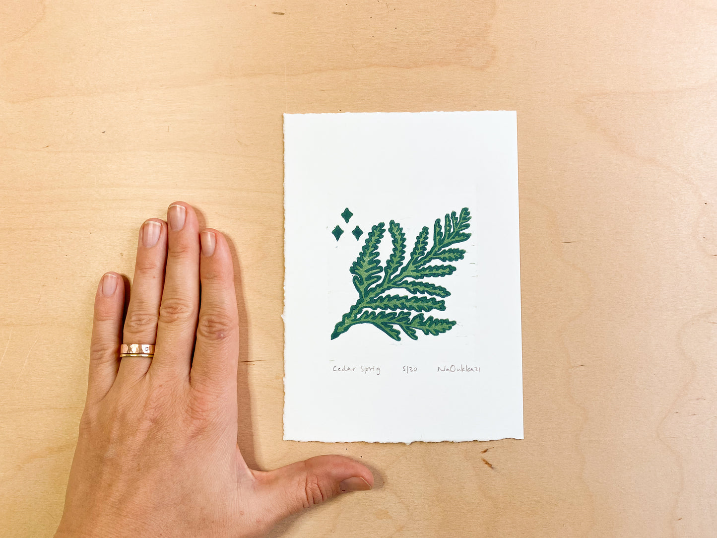 Cedar Sprig Woodcut Print