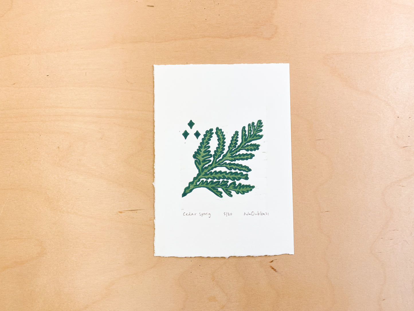 Cedar Sprig Woodcut Print
