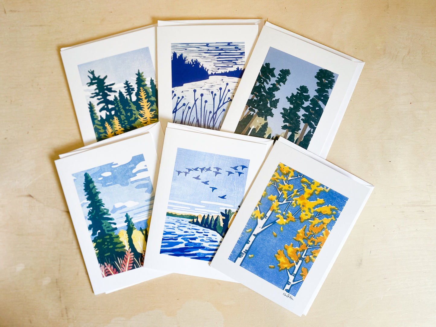 Backcountry Fall Greeting Card