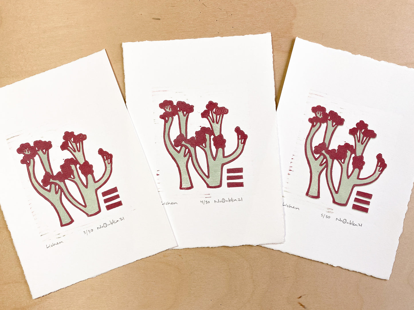 Lichen Woodcut Print