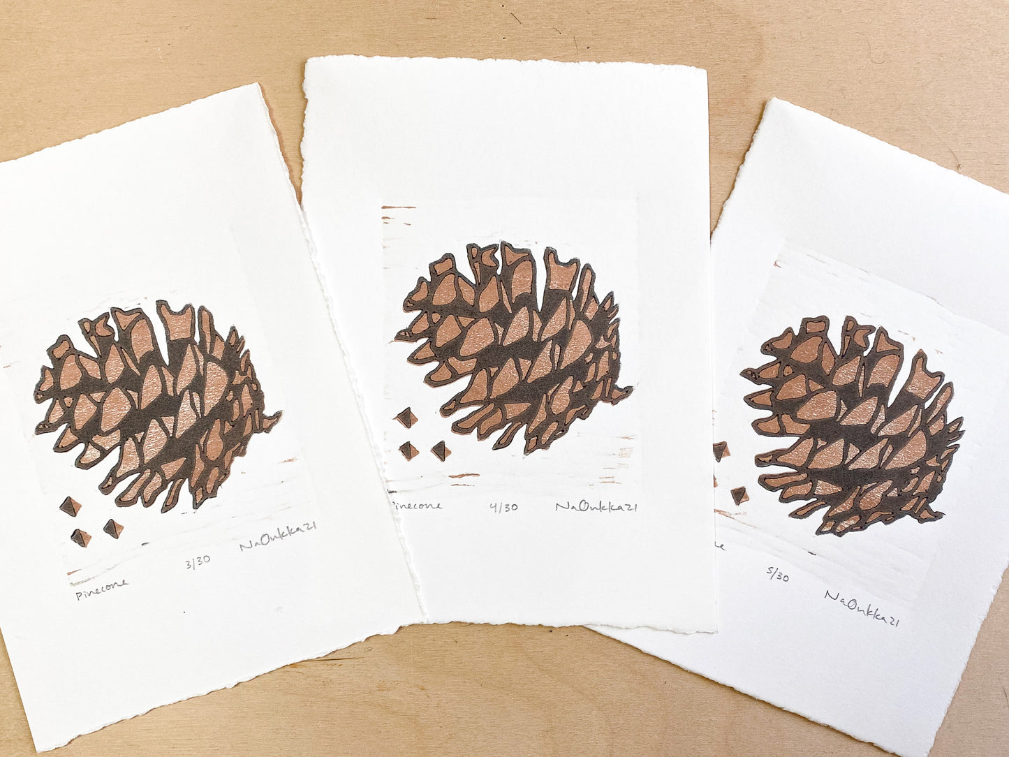 Pinecone Woodcut Print