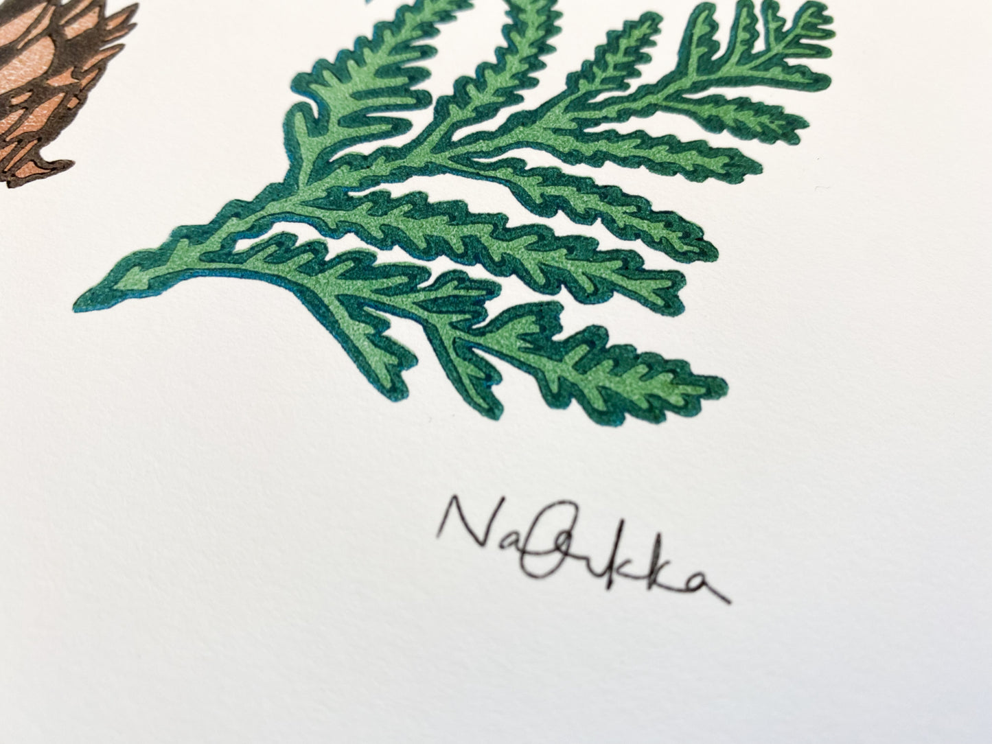 Woodland Treasures Giclée Print