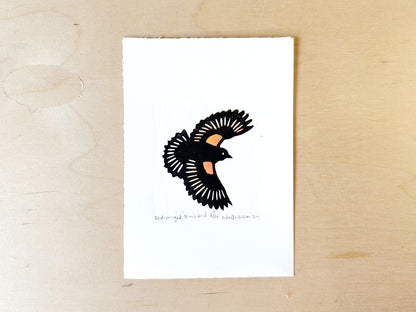 Red-Winged Blackbird Woodcut Print