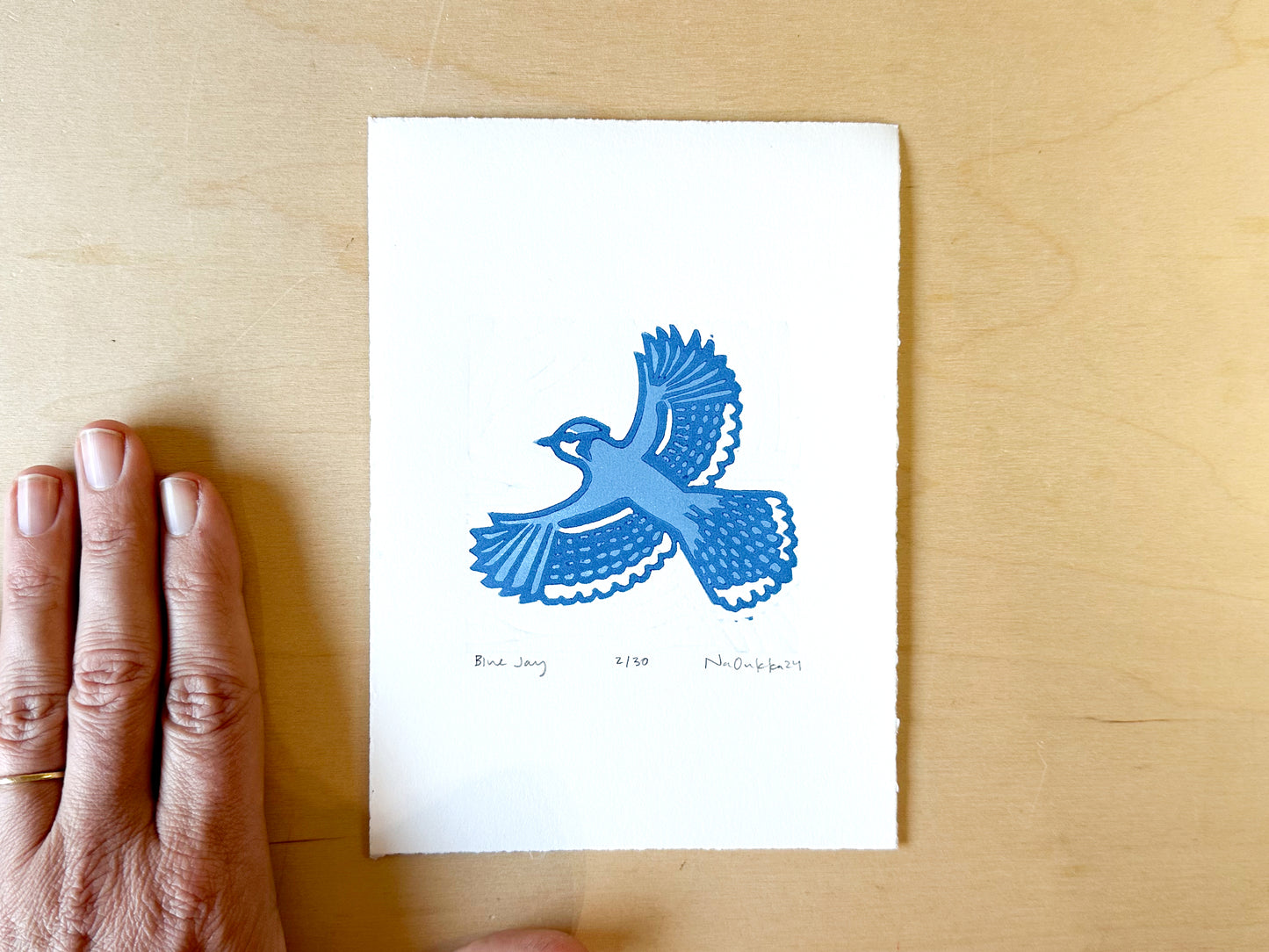 Blue Jay Woodcut Print