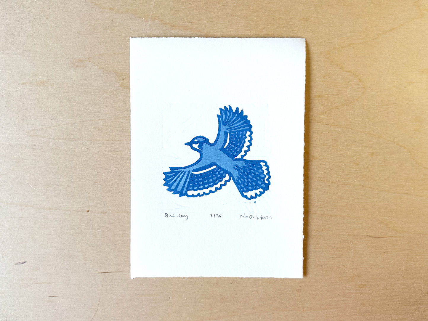 Blue Jay Woodcut Print