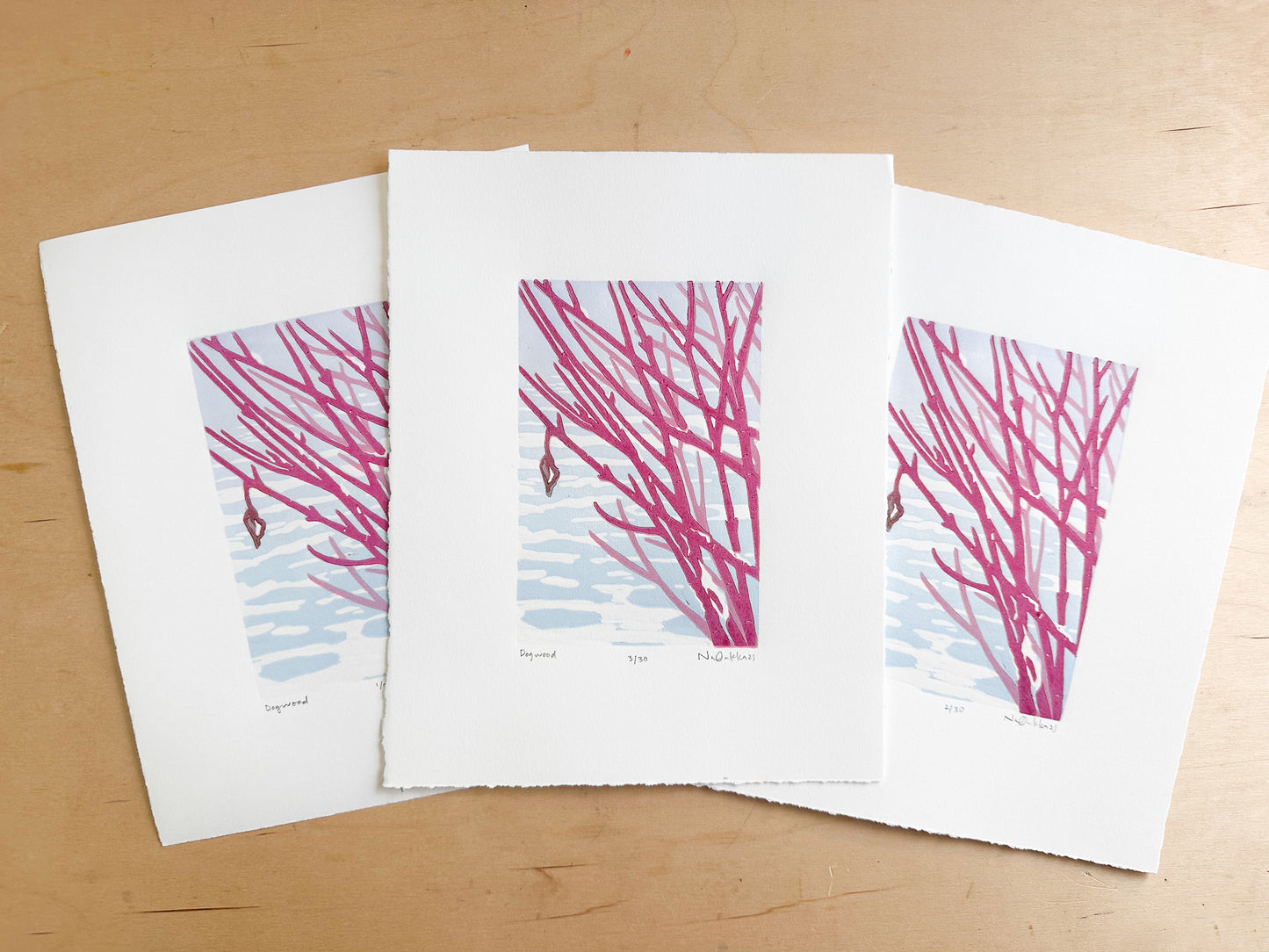 Dogwood Woodcut Print