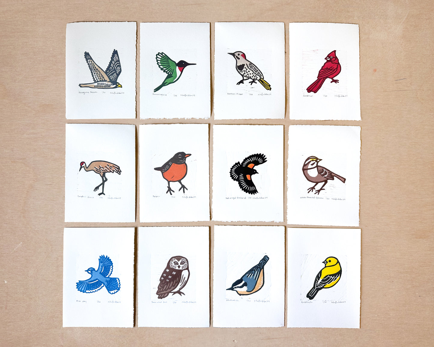 Full Series of Northern Birds Woodcut Prints