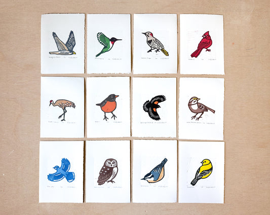 Full Series of Northern Birds Woodcut Prints