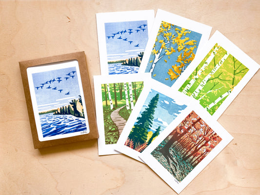 Boxed Set of Fall Greeting Cards (6 cards)