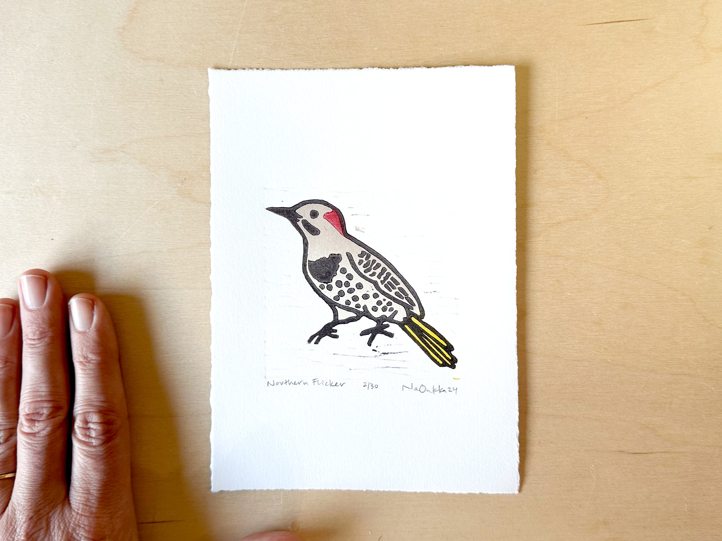 Northern Flicker Woodcut Print