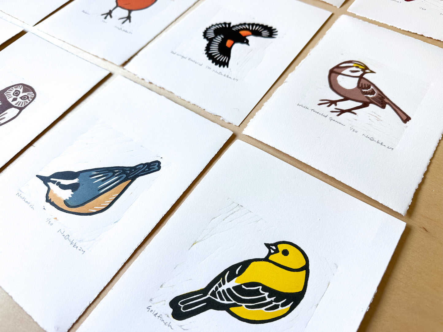 Full Series of Northern Birds Woodcut Prints