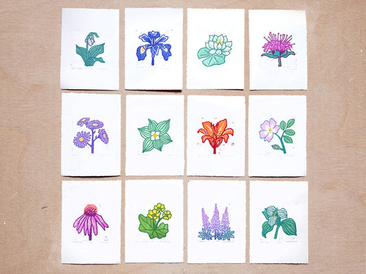 Full Series of Northern Wildflower Woodcut Prints