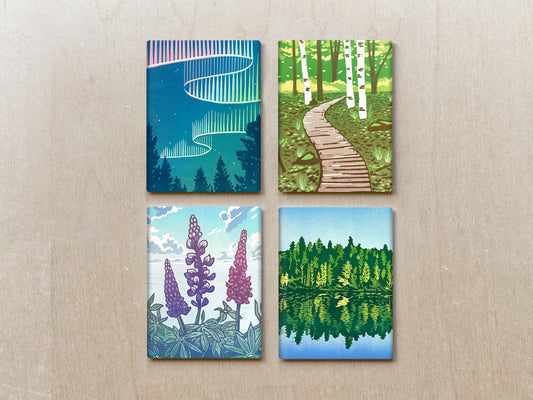 Set of Four Magnets