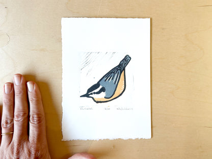 Nuthatch Woodcut Print