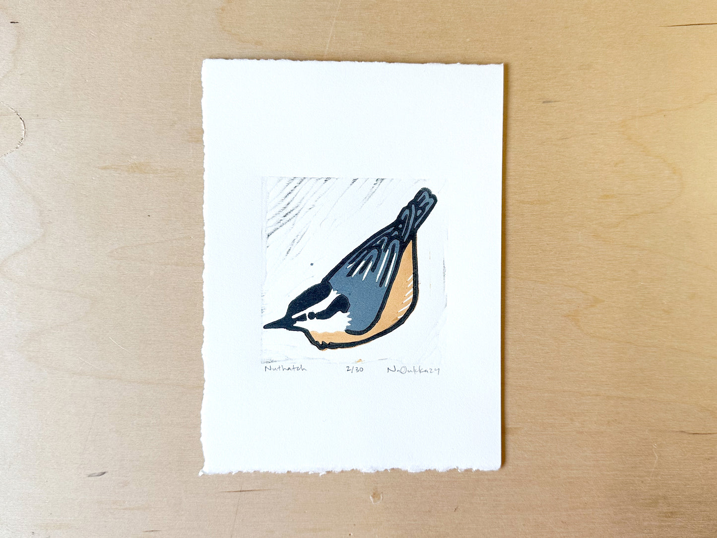 Nuthatch Woodcut Print