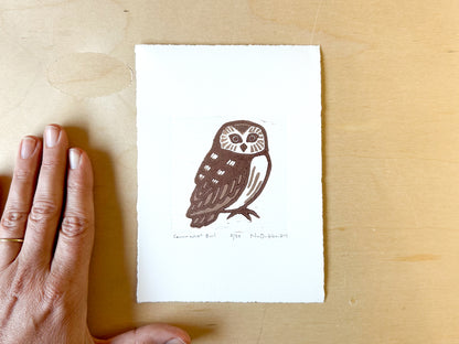 Saw-Whet Owl Woodcut Print