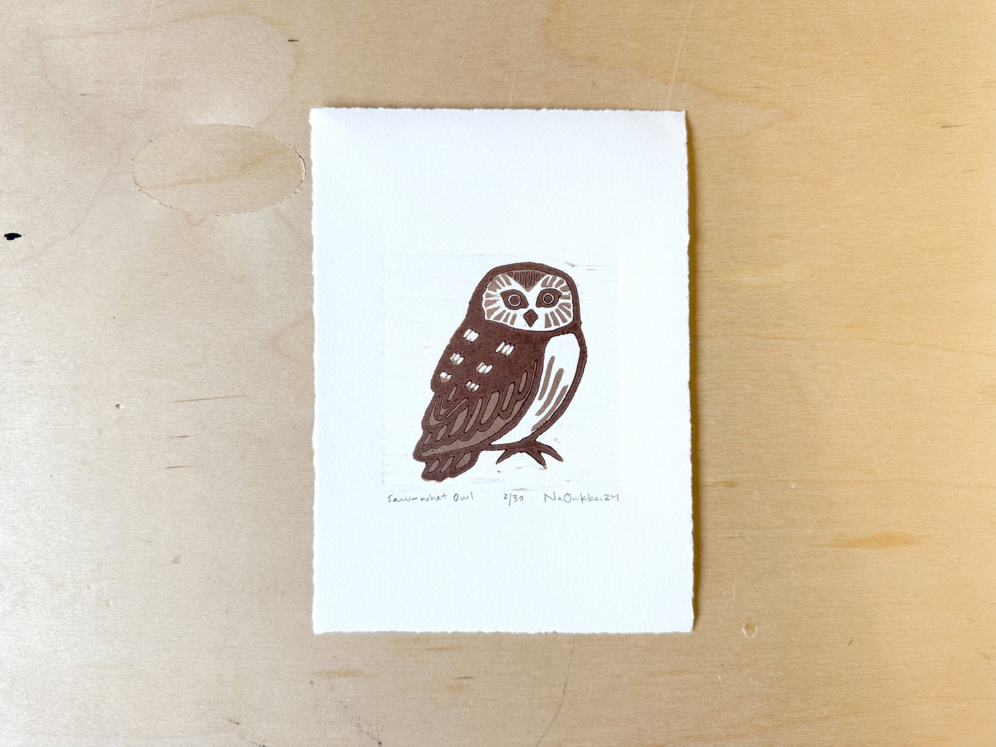 Saw-Whet Owl Woodcut Print