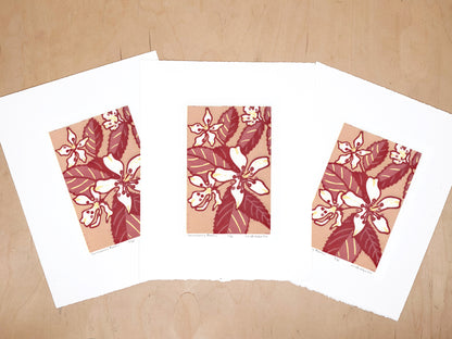 Serviceberry Blooms Woodcut Print