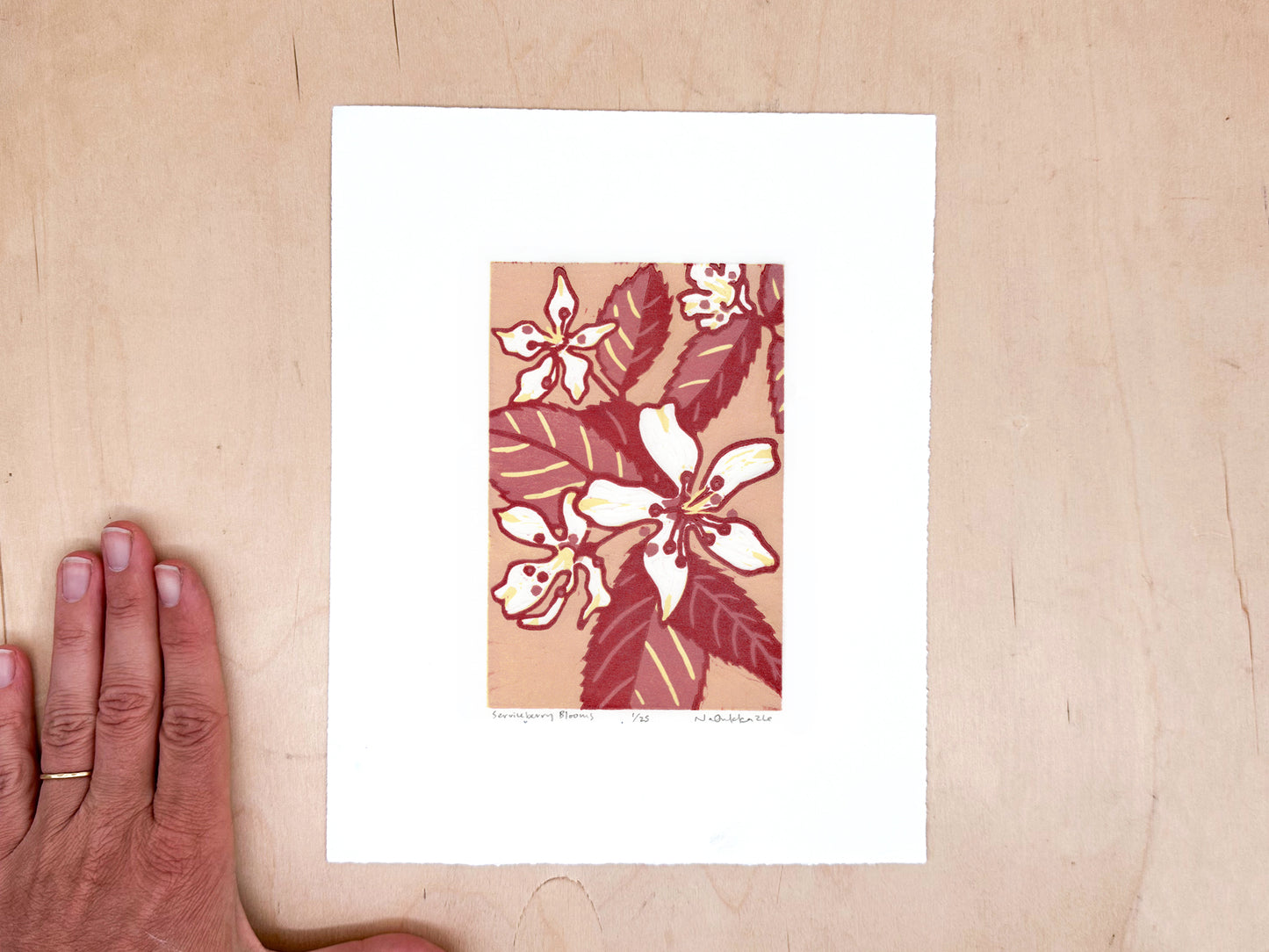 Serviceberry Blooms Woodcut Print