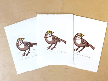 White Throated Sparrow Woodcut Print